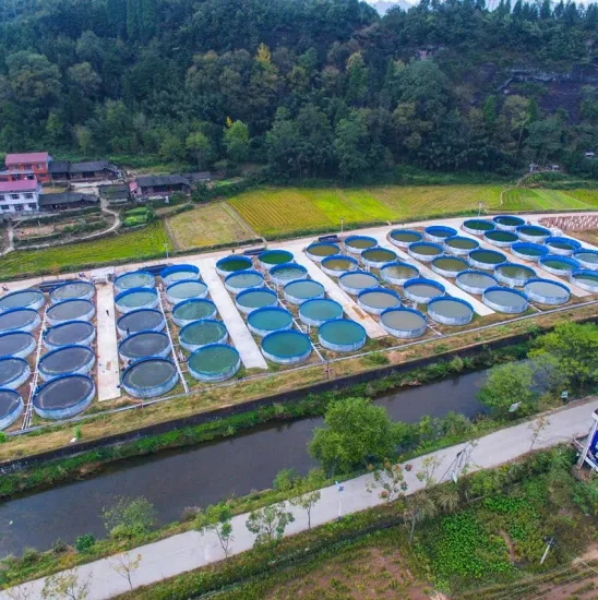 Étang à poissons pliable d'aquaculture de PVC de système d'aquaculture de recirculation en gros